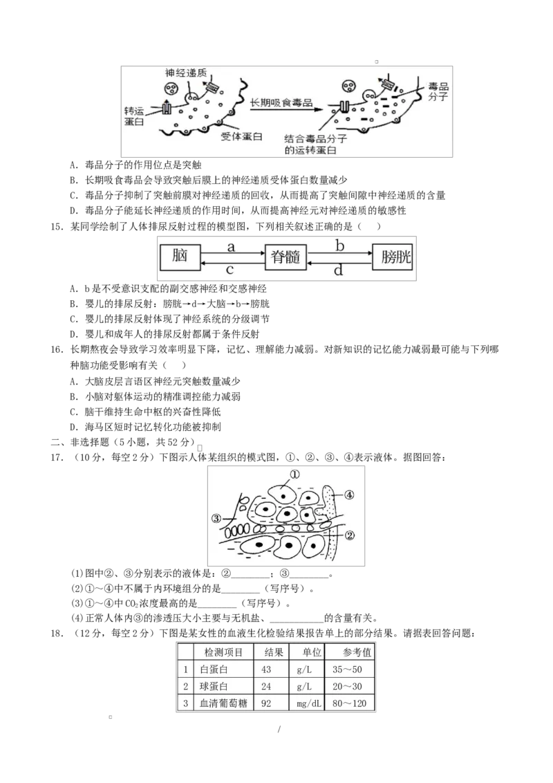 高二生物上学期第一次月考（陕晋青宁专用）（考试版）_1多考区联考试卷_2510142025-2026学年高二生物上学期第一次月考试题