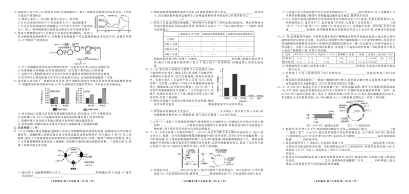 点石联考2025-2026学年度上学期高三年级9月份联合考试生物（A版）_2025年9月_250907点石联考2025-2026学年度上学期高三年级9月份联合考试（全科）