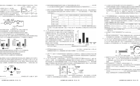 点石联考2025-2026学年度上学期高三年级9月份联合考试生物（A版）_2025年9月_250907点石联考2025-2026学年度上学期高三年级9月份联合考试（全科）