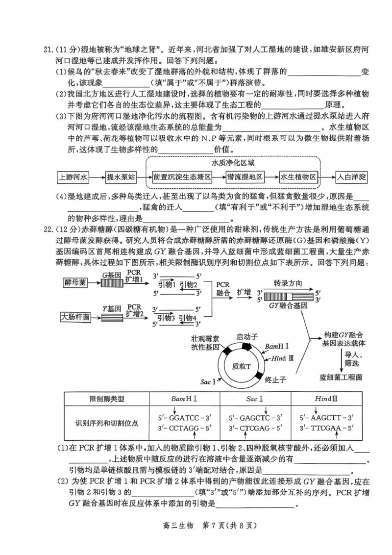 河北省邯郸市2025-2026学年高三上学期第一次调研监测生物试卷_2025年9月_250918河北省邯郸市2025-2026学年高三上学期第一次调研监测（全科）