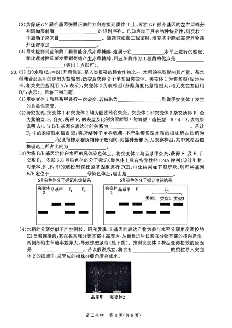 河北省邯郸市2025-2026学年高三上学期第一次调研监测生物试卷_2025年9月_250918河北省邯郸市2025-2026学年高三上学期第一次调研监测（全科）
