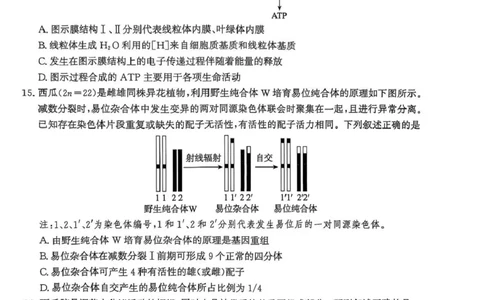 河北省邯郸市2025-2026学年高三上学期第一次调研监测生物试卷_2025年9月_250918河北省邯郸市2025-2026学年高三上学期第一次调研监测（全科）
