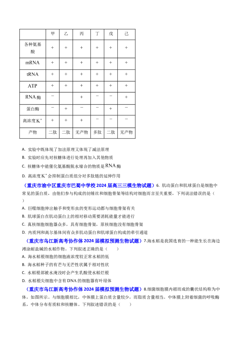 专题02细胞的结构和功能-2024年高考真题和模拟题生物分类汇编（学生卷）_近10年高考真题汇编（必刷）_十年（2014-2024）高考生物真题分项汇编（全国通用）