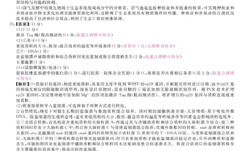详解版答案-生物_unlocked_2025年9月_250911安徽省华师联盟2025-2026学年高三上学期开学质量检测_安徽省华师联盟2026届高三上学期开学联考生物试题