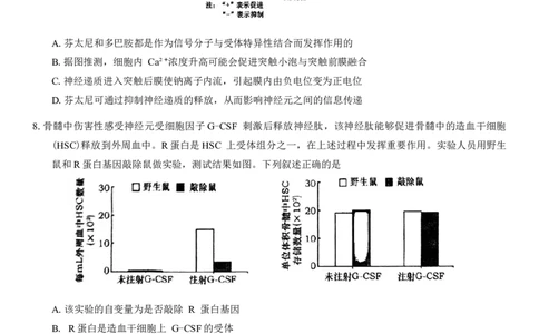 四川省自贡市2025届高三第二次诊断性测试生物学试题（有答案）_2025年3月_250323四川省乐山市，自贡市，宜宾市2025届高三第二次诊断性考试（全科）
