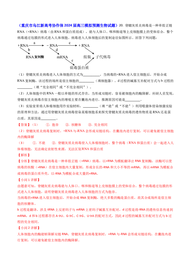 专题02细胞的结构和功能-2024年高考真题和模拟题生物分类汇编（教师卷）_近10年高考真题汇编（必刷）_十年（2014-2024）高考生物真题分项汇编（全国通用）