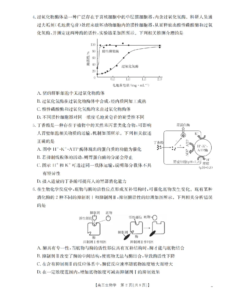 四川省2026届高三上学期10月联考（26-38C）生物_2025年10月_251020金太阳&middot;四川省2026届高三上学期10月联考（26-38C）（全科）