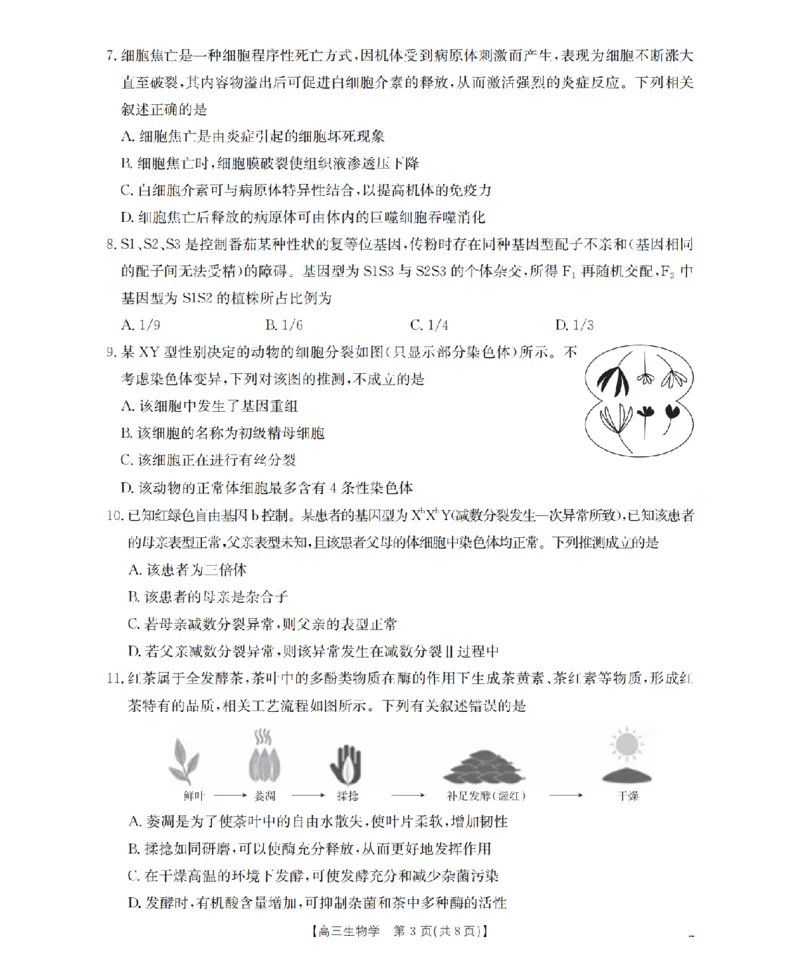 四川省2026届高三上学期10月联考（26-38C）生物_2025年10月_251020金太阳&middot;四川省2026届高三上学期10月联考（26-38C）（全科）