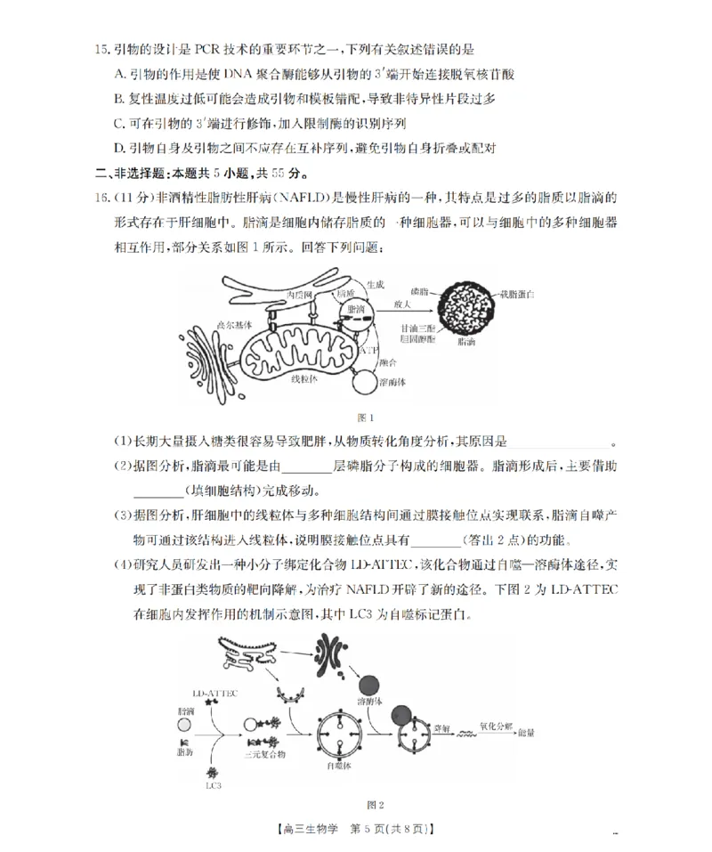 四川省2026届高三上学期10月联考（26-38C）生物_2025年10月_251020金太阳&middot;四川省2026届高三上学期10月联考（26-38C）（全科）