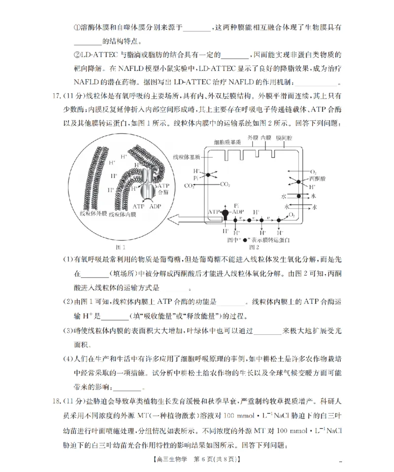 四川省2026届高三上学期10月联考（26-38C）生物_2025年10月_251020金太阳&middot;四川省2026届高三上学期10月联考（26-38C）（全科）
