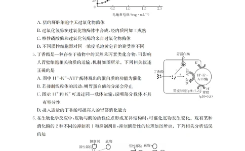 四川省2026届高三上学期10月联考（26-38C）生物_2025年10月_251020金太阳&middot;四川省2026届高三上学期10月联考（26-38C）（全科）