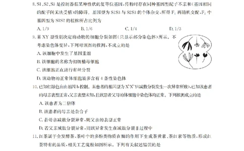 四川省2026届高三上学期10月联考（26-38C）生物_2025年10月_251020金太阳&middot;四川省2026届高三上学期10月联考（26-38C）（全科）