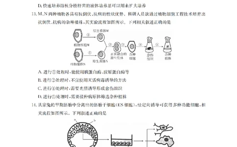 四川省2026届高三上学期10月联考（26-38C）生物_2025年10月_251020金太阳&middot;四川省2026届高三上学期10月联考（26-38C）（全科）
