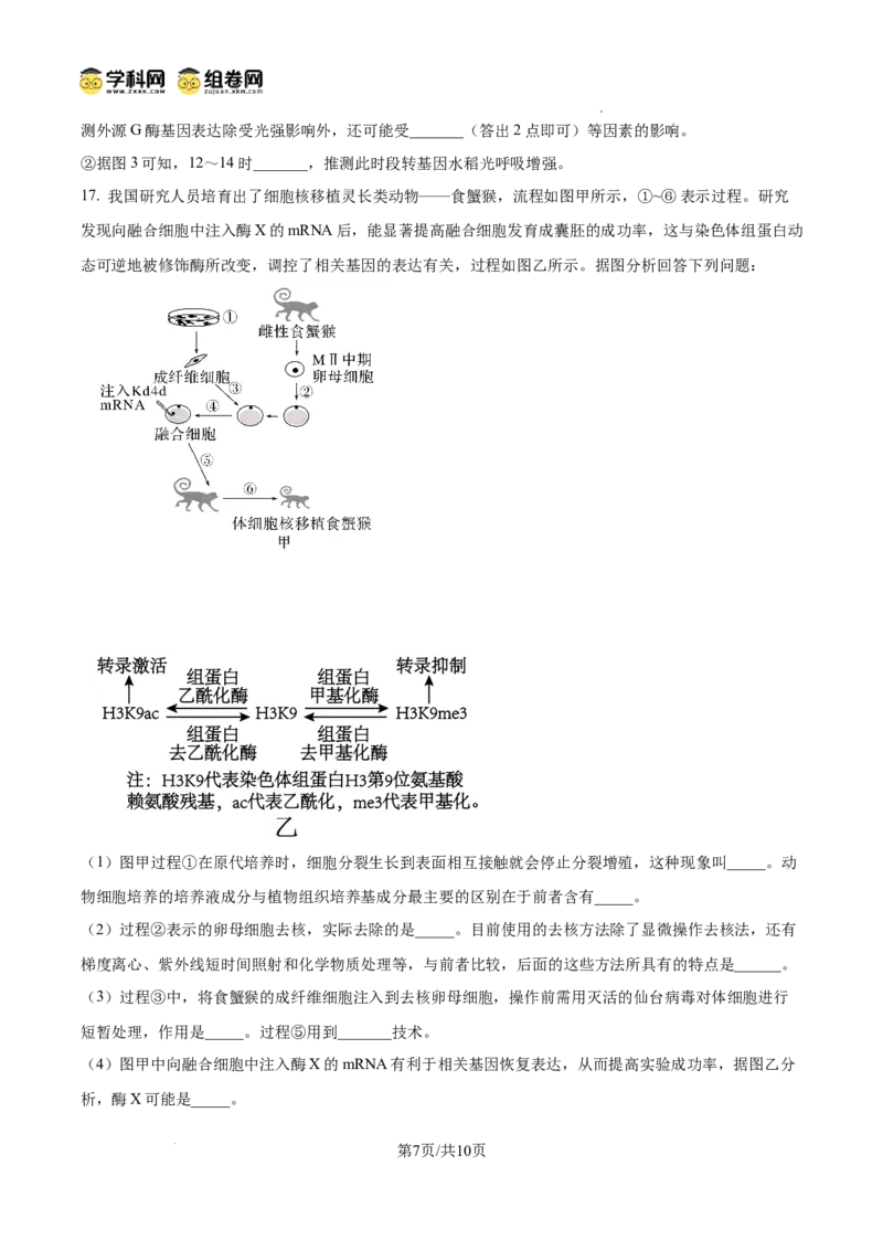 树德中学2025-2026学年高三上学期10月月考+生物_2025年10月_251017四川省成都市树德中学2025-2026学年高三上学期10月月考