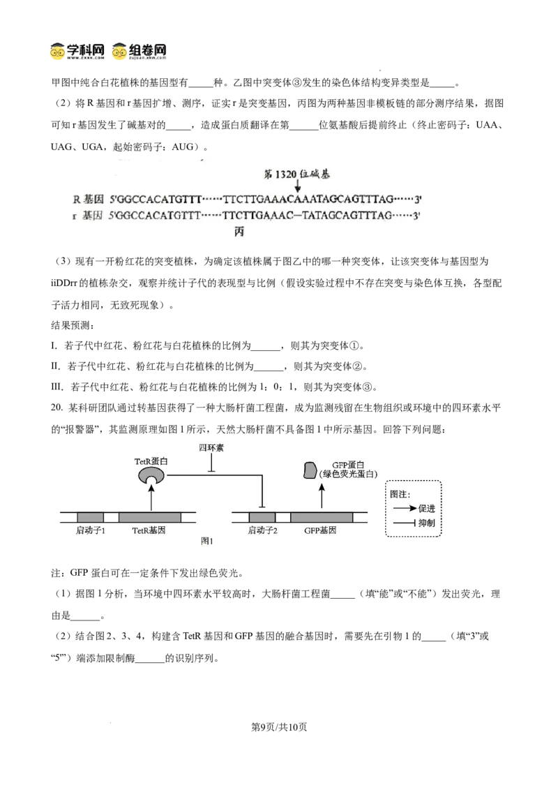 树德中学2025-2026学年高三上学期10月月考+生物_2025年10月_251017四川省成都市树德中学2025-2026学年高三上学期10月月考