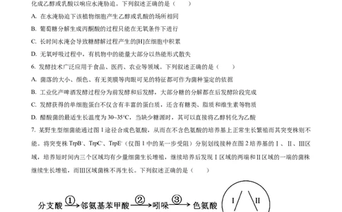 树德中学2025-2026学年高三上学期10月月考+生物_2025年10月_251017四川省成都市树德中学2025-2026学年高三上学期10月月考
