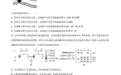 树德中学2025-2026学年高三上学期10月月考+生物_2025年10月_251017四川省成都市树德中学2025-2026学年高三上学期10月月考