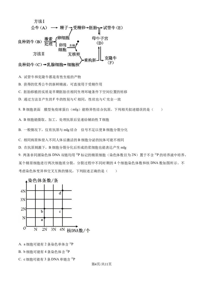 精品解析：湖南省衡阳市第一中学2025-2026学年高三下学期第一次月考生物试卷（原卷版）_2025年8月_250804湖南省衡阳市第一中学2026届高三上学期第一次月考