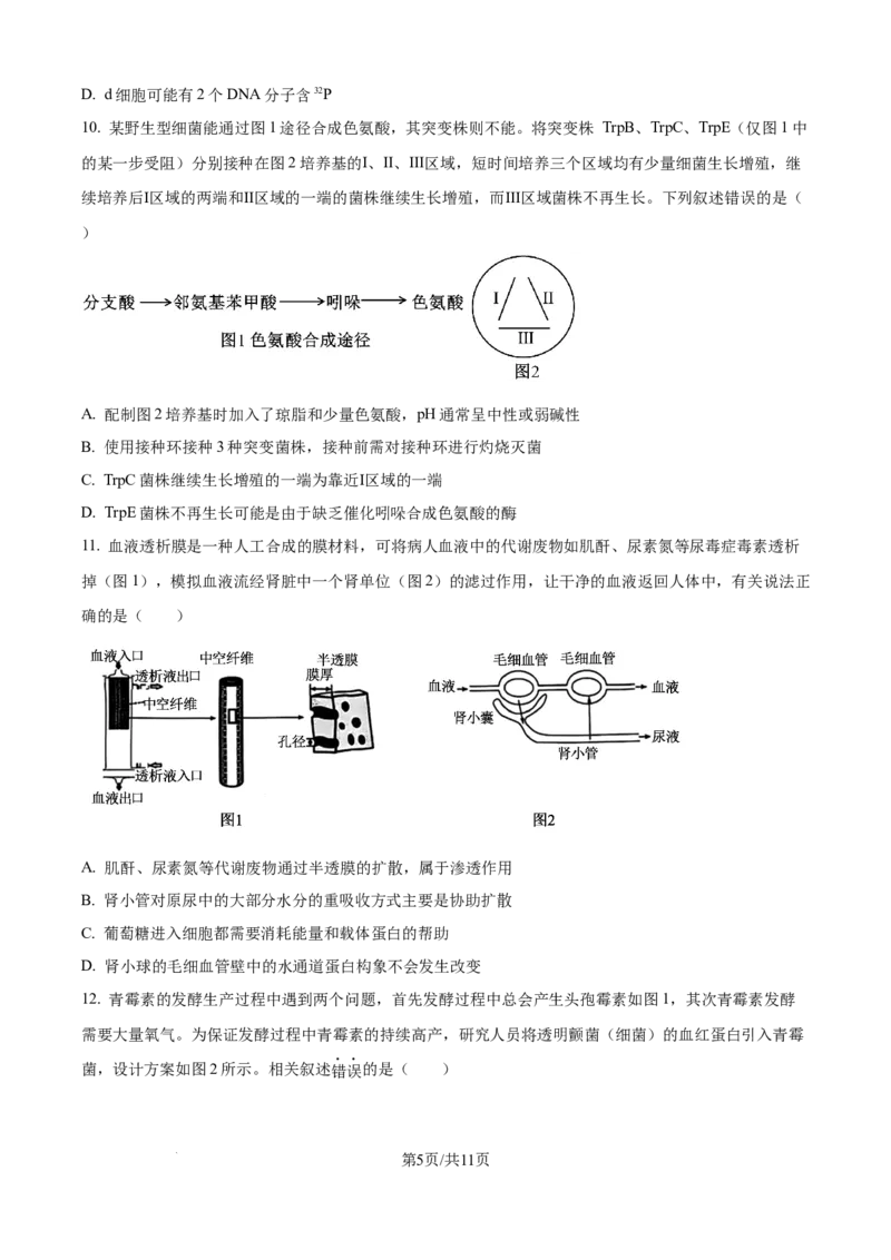 精品解析：湖南省衡阳市第一中学2025-2026学年高三下学期第一次月考生物试卷（原卷版）_2025年8月_250804湖南省衡阳市第一中学2026届高三上学期第一次月考