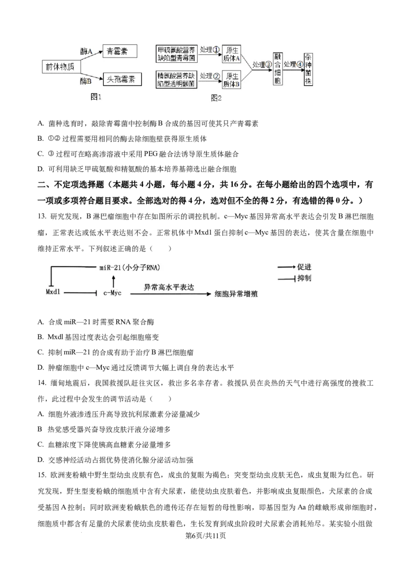 精品解析：湖南省衡阳市第一中学2025-2026学年高三下学期第一次月考生物试卷（原卷版）_2025年8月_250804湖南省衡阳市第一中学2026届高三上学期第一次月考