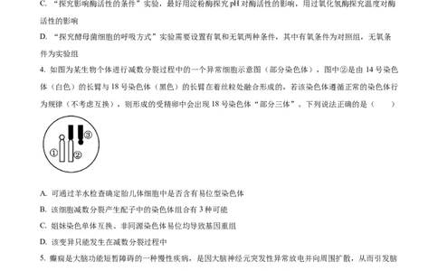 精品解析：湖南省衡阳市第一中学2025-2026学年高三下学期第一次月考生物试卷（原卷版）_2025年8月_250804湖南省衡阳市第一中学2026届高三上学期第一次月考