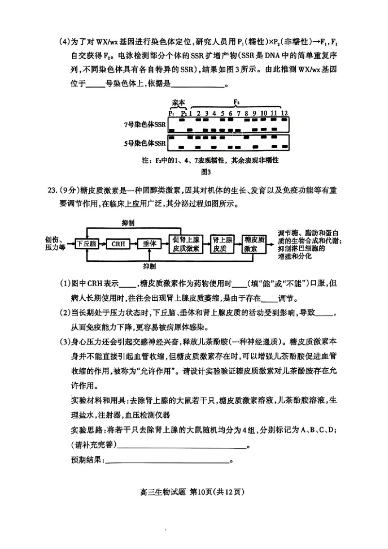 山东省泰安市2025届高三四模检测生物_2025年5月_250520山东省泰安市2025届高三四模检测（泰安四模）（全科）