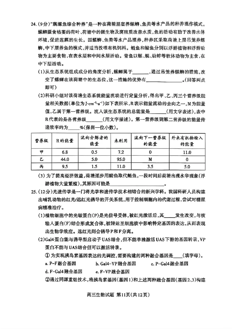 山东省泰安市2025届高三四模检测生物_2025年5月_250520山东省泰安市2025届高三四模检测（泰安四模）（全科）