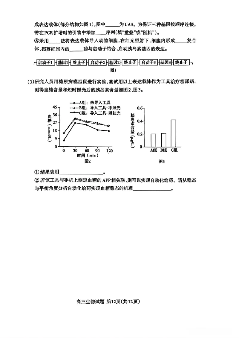 山东省泰安市2025届高三四模检测生物_2025年5月_250520山东省泰安市2025届高三四模检测（泰安四模）（全科）