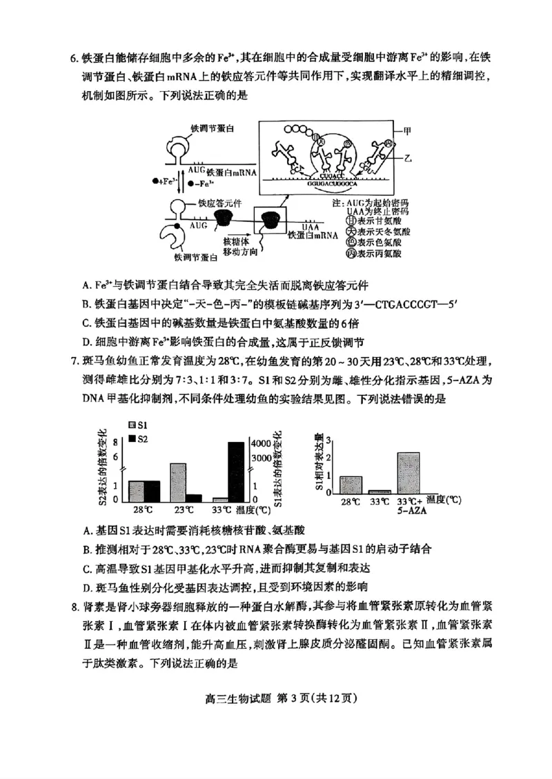 山东省泰安市2025届高三四模检测生物_2025年5月_250520山东省泰安市2025届高三四模检测（泰安四模）（全科）