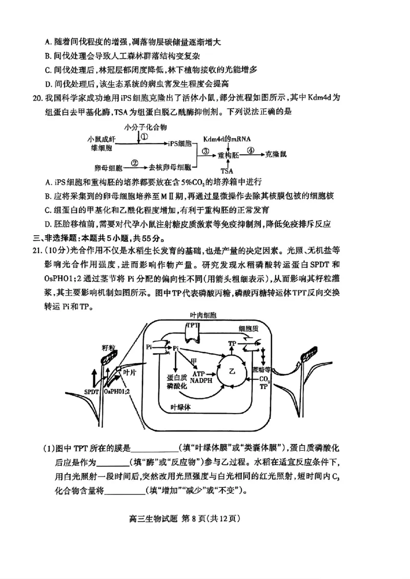 山东省泰安市2025届高三四模检测生物_2025年5月_250520山东省泰安市2025届高三四模检测（泰安四模）（全科）