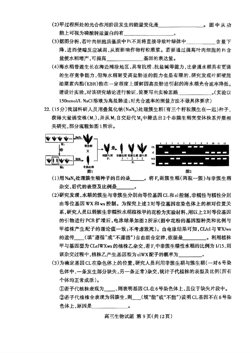 山东省泰安市2025届高三四模检测生物_2025年5月_250520山东省泰安市2025届高三四模检测（泰安四模）（全科）