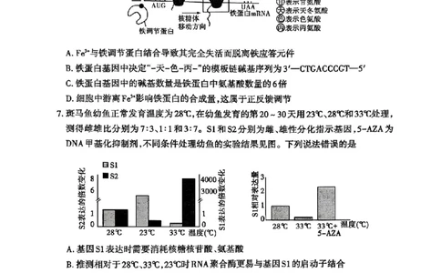 山东省泰安市2025届高三四模检测生物_2025年5月_250520山东省泰安市2025届高三四模检测（泰安四模）（全科）