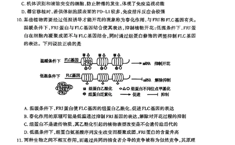 山东省泰安市2025届高三四模检测生物_2025年5月_250520山东省泰安市2025届高三四模检测（泰安四模）（全科）