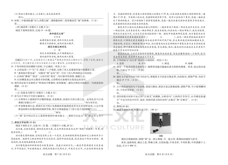 语文天一大联考&middot;2024-2025学年（下）高三第二次四省联考（陕西、山西、青海、宁夏）_2025年5月_天一大联考2024-2025学年（下）高三第二次四省联考（陕西、山西、青海、宁夏）_543