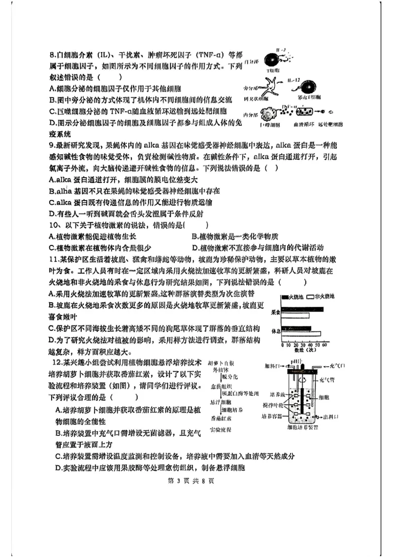 湖南省&ldquo;长望浏宁&rdquo;四县联考2025届高三下学期3月调研考试生物+答案_2025年3月_250319湖南省&ldquo;长望浏宁&rdquo;四县联考2025届高三下学期3月调研考试试题（全科）