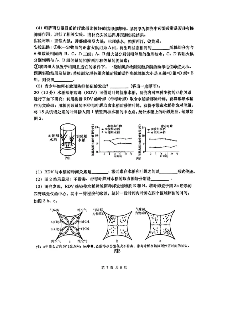 湖南省&ldquo;长望浏宁&rdquo;四县联考2025届高三下学期3月调研考试生物+答案_2025年3月_250319湖南省&ldquo;长望浏宁&rdquo;四县联考2025届高三下学期3月调研考试试题（全科）