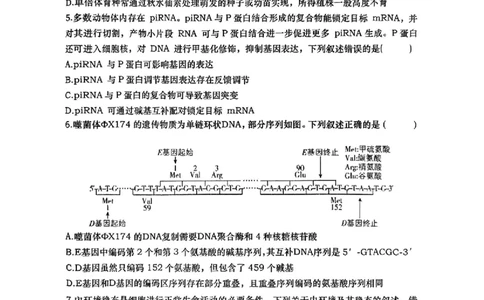 湖南省&ldquo;长望浏宁&rdquo;四县联考2025届高三下学期3月调研考试生物+答案_2025年3月_250319湖南省&ldquo;长望浏宁&rdquo;四县联考2025届高三下学期3月调研考试试题（全科）