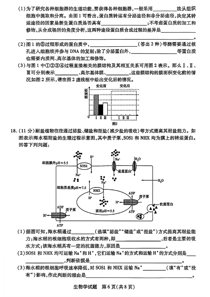天一大联考26届高三生物10月联考试卷_2025年10月_251018安徽天一大联考豫皖联考2026届高三上学期十月调研考试（全科）_高三试卷