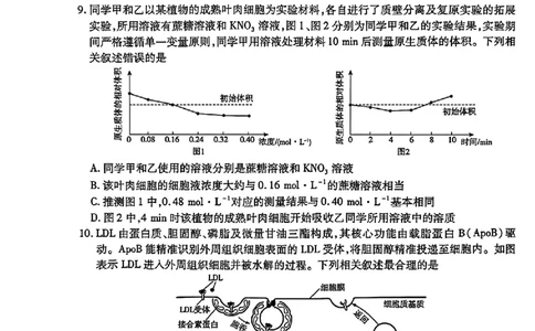 天一大联考26届高三生物10月联考试卷_2025年10月_251018安徽天一大联考豫皖联考2026届高三上学期十月调研考试（全科）_高三试卷