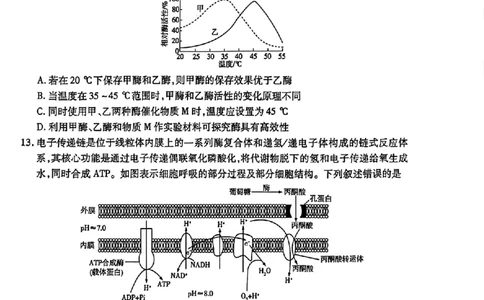 天一大联考26届高三生物10月联考试卷_2025年10月_251018安徽天一大联考豫皖联考2026届高三上学期十月调研考试（全科）_高三试卷