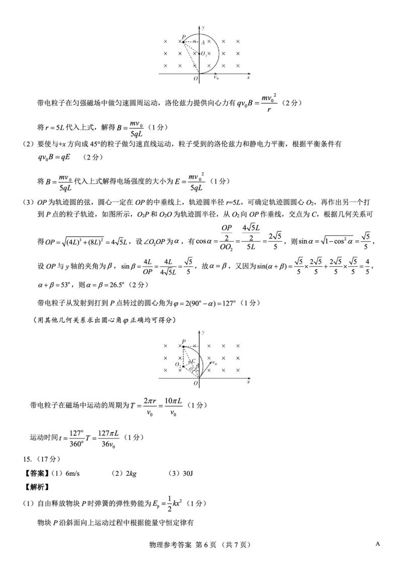 名校教研联盟2026届高考仿真模拟卷（样卷）物理答案_2025年10月_251029名校教研联盟2026届高考仿真模拟卷（样卷）（全科）
