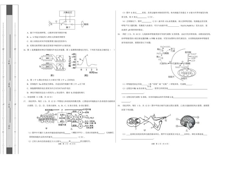 高二生物上学期第一次月考测试范围：人教版2019选择性必修1第1章~第2章（广东专用）（考试版A3）_1多考区联考试卷_2510142025-2026学年高二生物上学期第一次月考试题