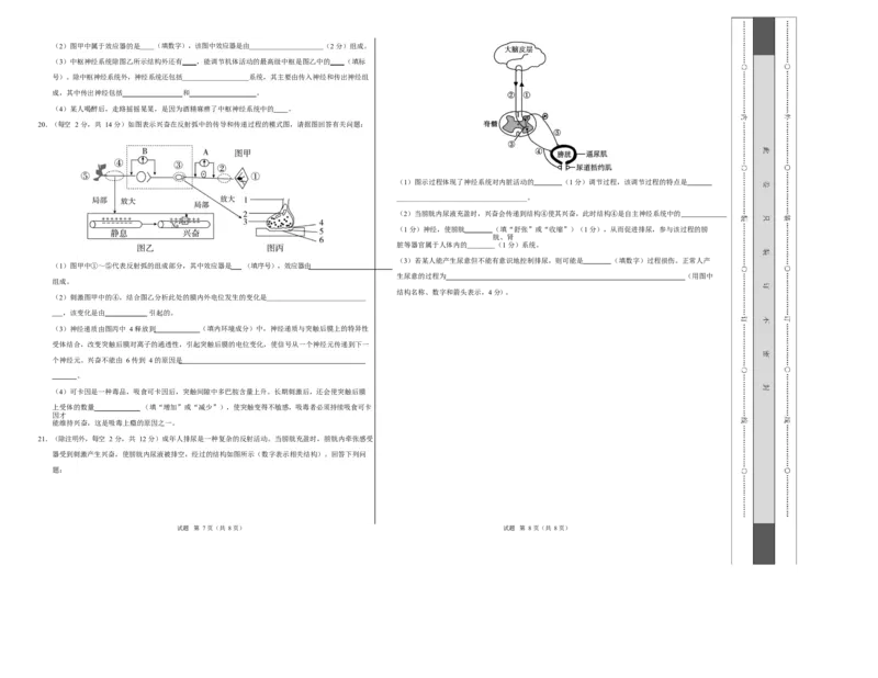 高二生物上学期第一次月考测试范围：人教版2019选择性必修1第1章~第2章（广东专用）（考试版A3）_1多考区联考试卷_2510142025-2026学年高二生物上学期第一次月考试题