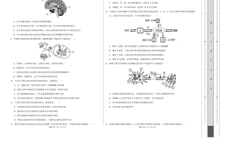 高二生物上学期第一次月考测试范围：人教版2019选择性必修1第1章~第2章（广东专用）（考试版A3）_1多考区联考试卷_2510142025-2026学年高二生物上学期第一次月考试题