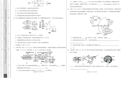 高二生物上学期第一次月考测试范围：人教版2019选择性必修1第1章~第2章（广东专用）（考试版A3）_1多考区联考试卷_2510142025-2026学年高二生物上学期第一次月考试题