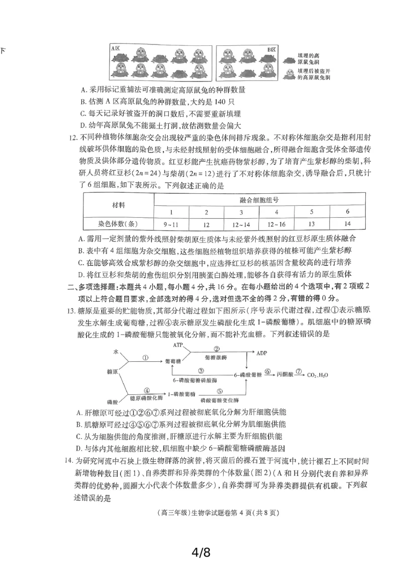 高三生物_2025年4月_250429江西重点中学盟校2024-2025年高三第二次联考_2025届江西省江西省重点中学盟校高三下学期第二次联考生物试题