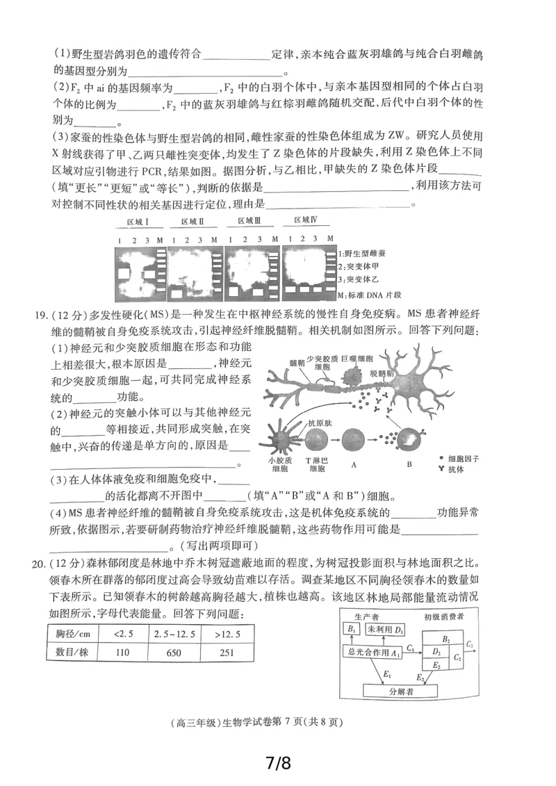 高三生物_2025年4月_250429江西重点中学盟校2024-2025年高三第二次联考_2025届江西省江西省重点中学盟校高三下学期第二次联考生物试题