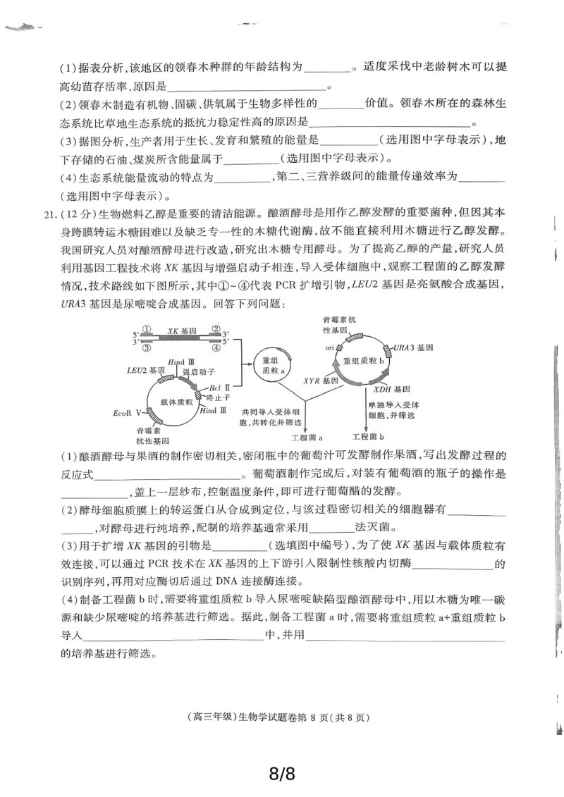 高三生物_2025年4月_250429江西重点中学盟校2024-2025年高三第二次联考_2025届江西省江西省重点中学盟校高三下学期第二次联考生物试题