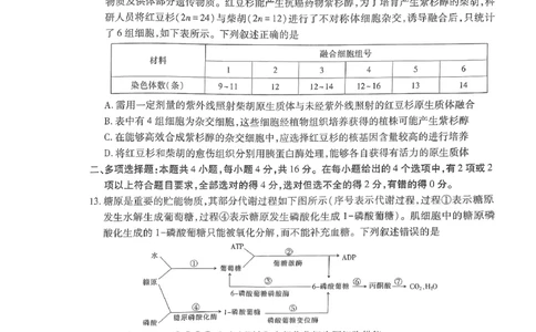 高三生物_2025年4月_250429江西重点中学盟校2024-2025年高三第二次联考_2025届江西省江西省重点中学盟校高三下学期第二次联考生物试题