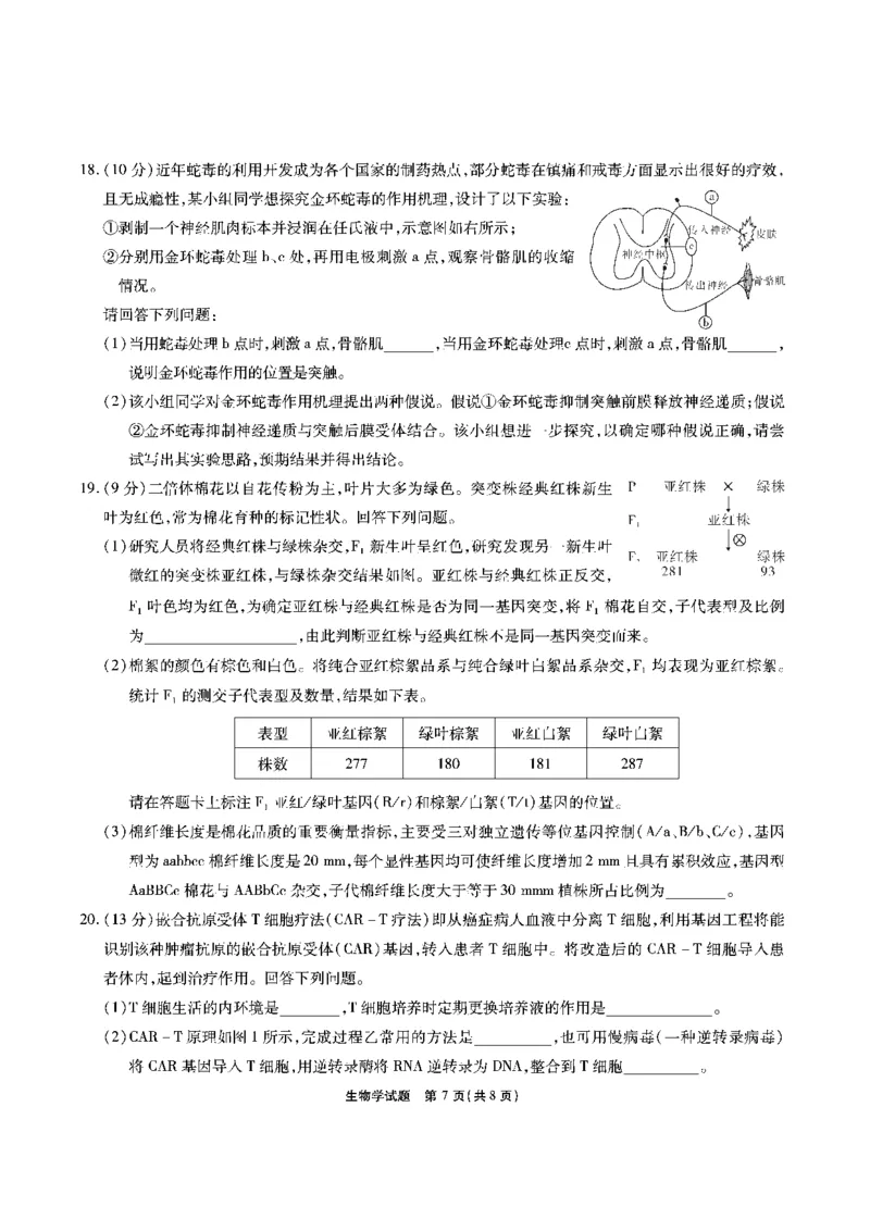 安徽六校高三-生物试题_2025年9月_250913安徽六校教育联盟会2026届高三年级入学素养测试（全科）_安徽六校-生物
